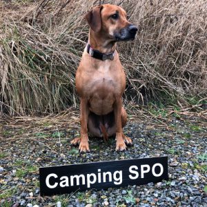 Elly - Camping SPO